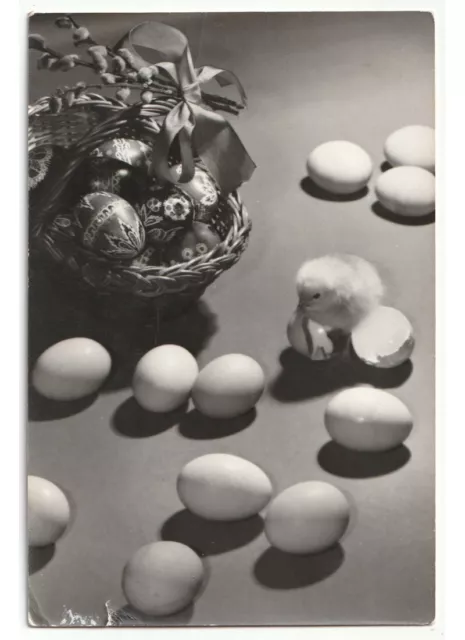 Photo Jarai Mti Carte Postale Pâques D'Époque Panier Oeufs Décorés Poussin