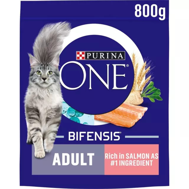 Purina One Adult Dry Food, Salmon, 800g