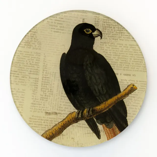 Black Parrot Round Decorative Glass Plate by Working Title