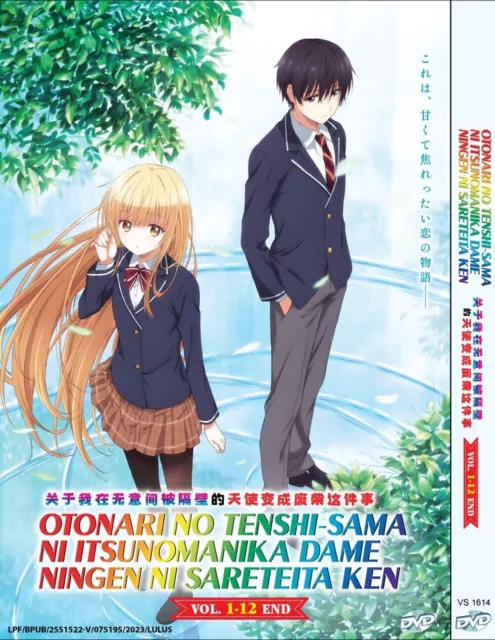 ANIME DVD Watashi Ni Tenshi Ga Maiorita! (1-12End+Movie+OVA) English  subtitle DV