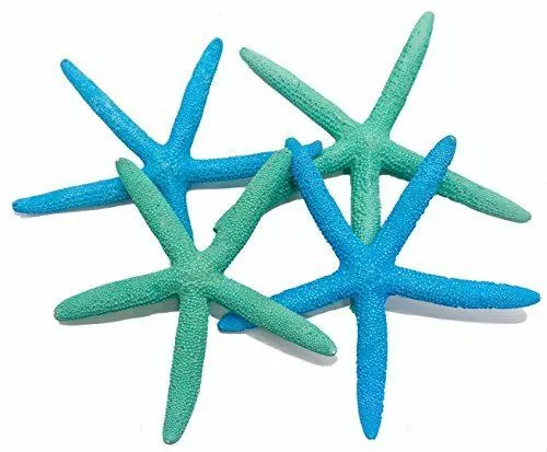 Finger Starfish | 4 Blue & Green Finger Starfish 4"-6" | Craft & Decor