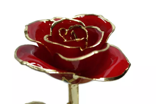 Zjchao 24K GOLD Dipped Red Rose