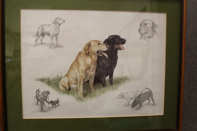 Framed Nigel Hemming Labrador Print Framed Nigel Hemming Labrador Print