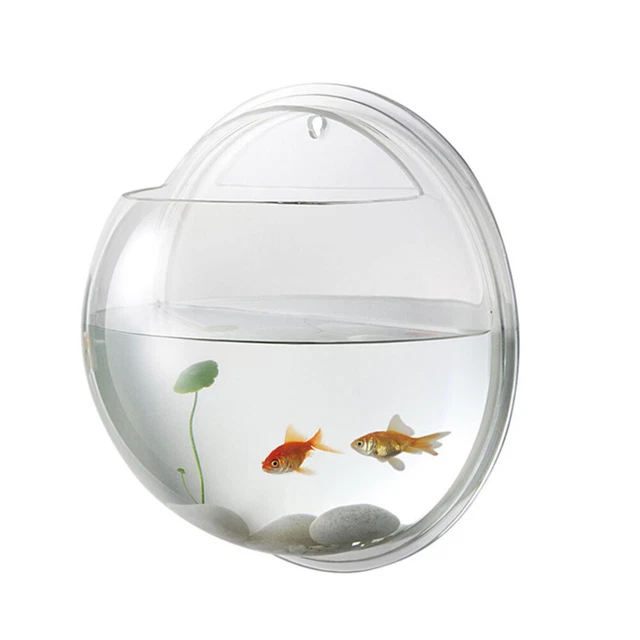 Transparent Creative Wall Mounted Acrylic Fish Bowl Hanging Aquarium Fish Tank