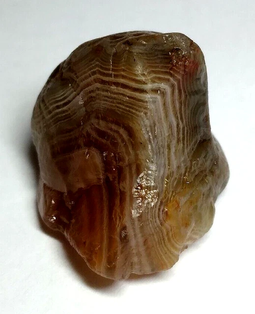 Lake Superior Agate 0.22 oz 'COOL FORTIFICATION' Rough Minnesota Gem - upnorth