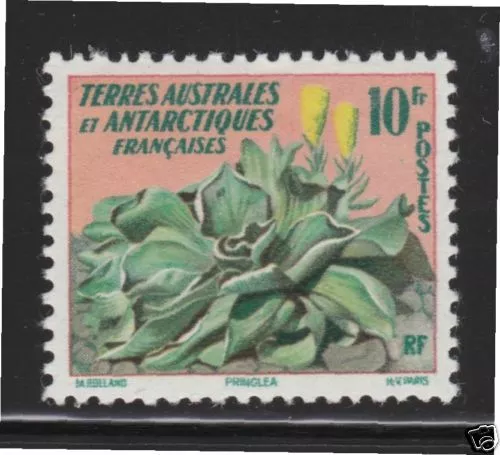 Stamp / Timbre Des T.a.a.f. N° 11 ** Flore / Chou De Kerguelen