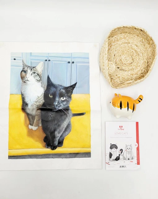 Cat Lady Box Set: Basket, Painted Canvas, Coin Bank & 2 Cards