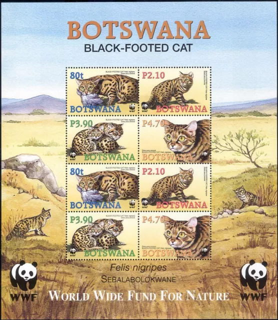 Botswana 2005 WWF/Black Footed Cat/Nature/Wildlife/Conservation 8v sht (n15041)