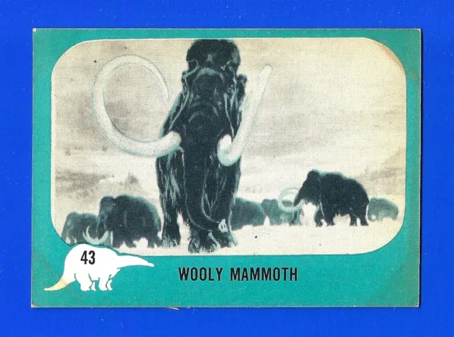 1961 Nu-Cards DINOSAUR SET BREAK #43 WOOLY MAMMOTH EX+/EXMINT (SB1)