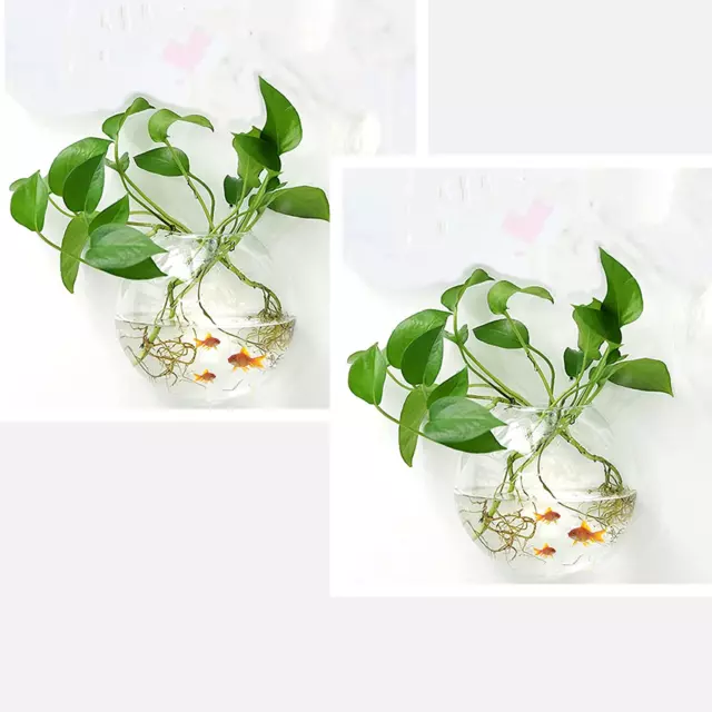 2Pack Wall Hanging Fish Tank,Mounted Fish Bowl Betta Tank Fish Plant Tanks