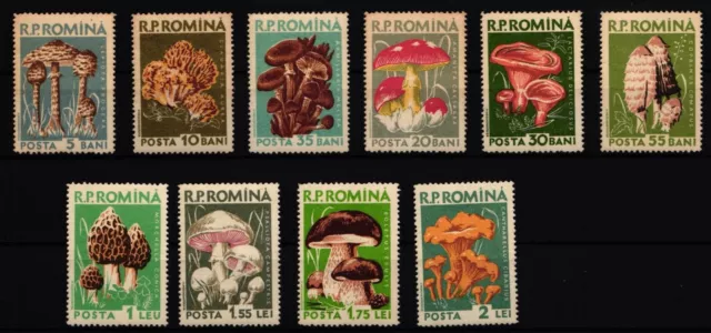 Rumänien 1721-1730 postfrisch Pilze #JA672