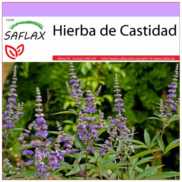 SAFLAX  - Hierba de Castidad - 30 semillas - Vitex