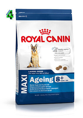 ROYAL CANIN Maxi AGEING 15 kg + 8 ANNI per cani maturi Grande