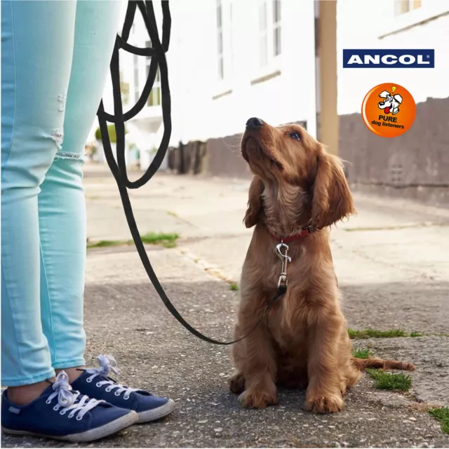 Ancol happy at heel cheap