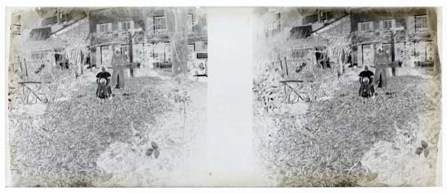 Kids Family Garden c1930 Photo NEGATIVE Glass Plate Vintage V36L7n  2