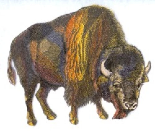 Embroidered Long-Sleeved T-Shirt - Buffalo BT4596