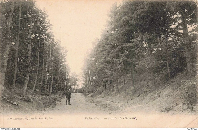 95 - SAINT LEU - S08076 - Route de Chauvry - Plis - L14