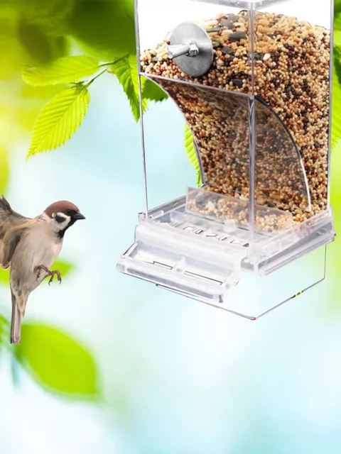 Alimentadores de aves automáticos para loros bebedor automático semillas de acrílico contenedor de alimentos jaula 3