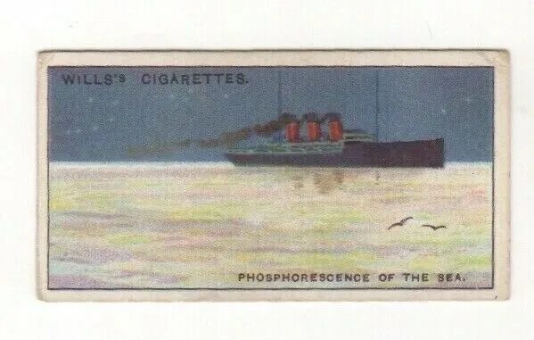 1928 Wills Wonders of the Sea #48. Phospherescence of the Sea