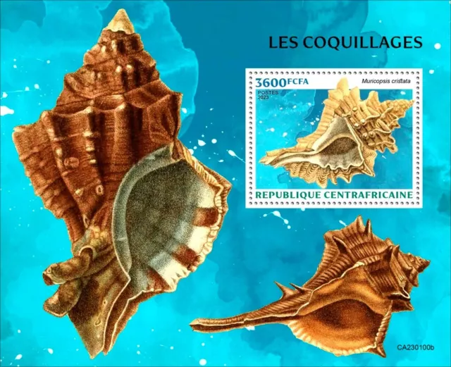 Shells MNH Stamps 2023 Central African Republic S/S