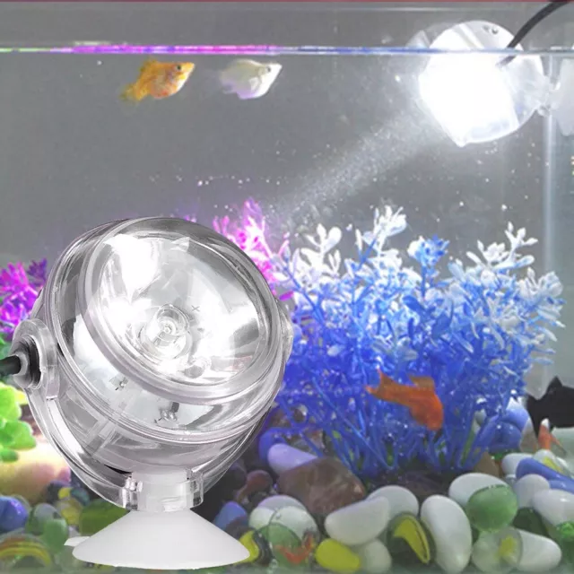 Lumière Sous-Marine LED Projecteur étanche Ip68 Lumière 'Aquarium