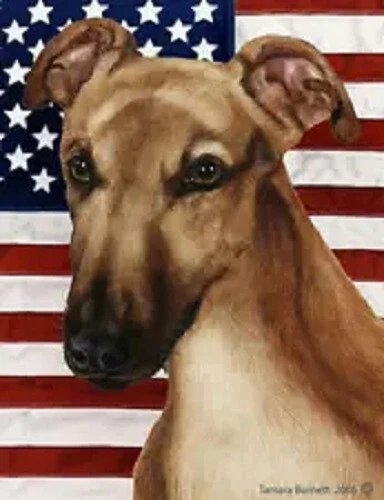 Patriotic (D2) Garden Flag - Fawn Mask Greyhound