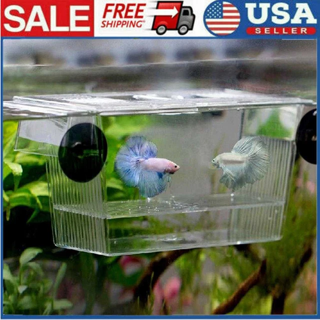 Aquarium Fish Tank Hatchery Box Breeding Transparent Acrylic Incubator Holder