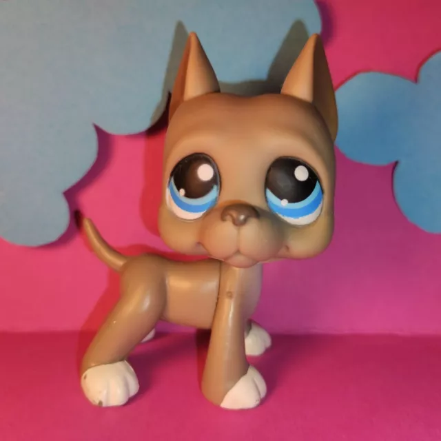 Littlest Pet Shop LPS 184 - Authentic Great Dane Hund + random Pets Included!