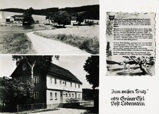 10-055 Ansichtskarte Schönbrunn Gasthaus Zum weißen Trutz Saalburg-Ebersdorf DDR