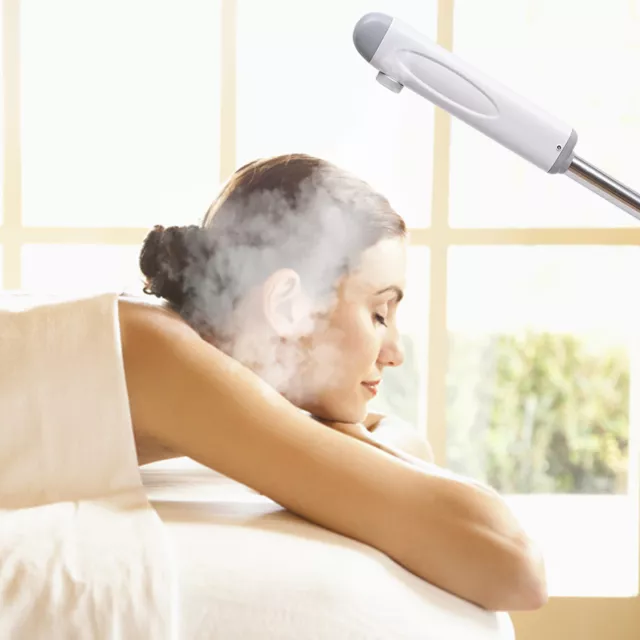 Professional Face Facial Skin Steamer Hot Spray Beauty Salon Spa Equipment