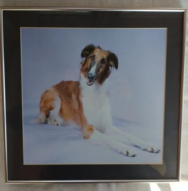 Young Borzoi Photo  matted/framed   15.25" x 14.75"
