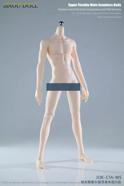 JIAOU DOLL 1/6 Male Body Wheaton Sixth Scale Figure Possible Display USA  NEW EUR 32,33 - PicClick FR