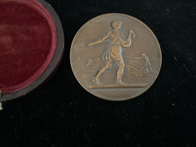 Médaille Ministère De L’Agriculture – Science Et Labeur – Bronze Français – Collection (10-30/A7)