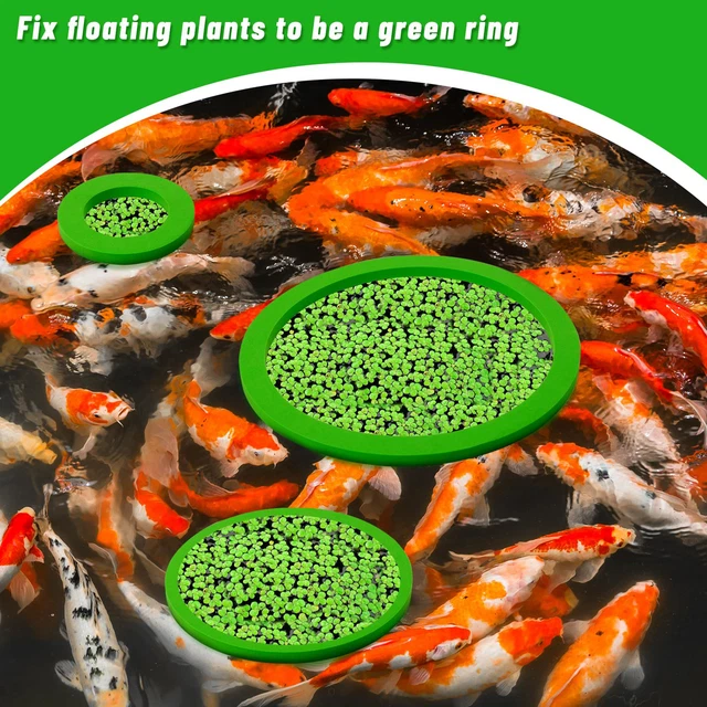 Floating Aquarium Rings: Fish Feeding & Plant Cultivation - Round & Square Sizes! From Feeder - Price 4.86