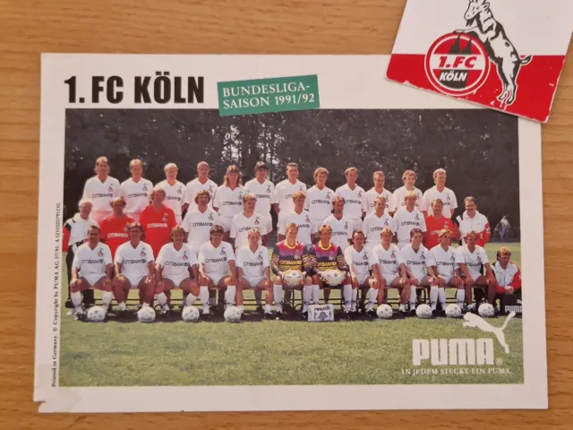 1. FC Köln Mannschaftsfoto 1991/1992  RAR /Selten 15x10