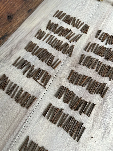 Antique Square Nails Lot of More Than 250 Pieces (*19) 6