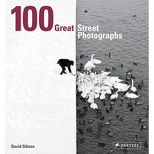 100 Great Street Photographs - Taschenbuch NEU Gibson, David 03.09.2018