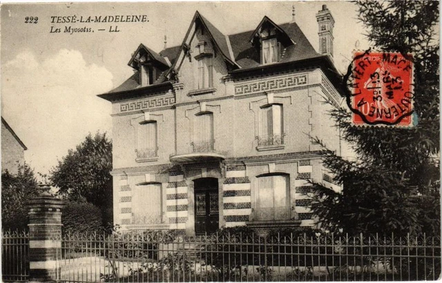 CPA TESSÉ-la-MADELEINE - Les myostis (195256)