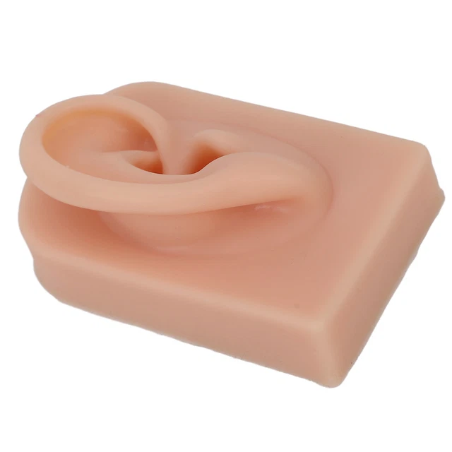 Modelo de oreja de silicona suave flexible oreja derecha reutilizable humana TC