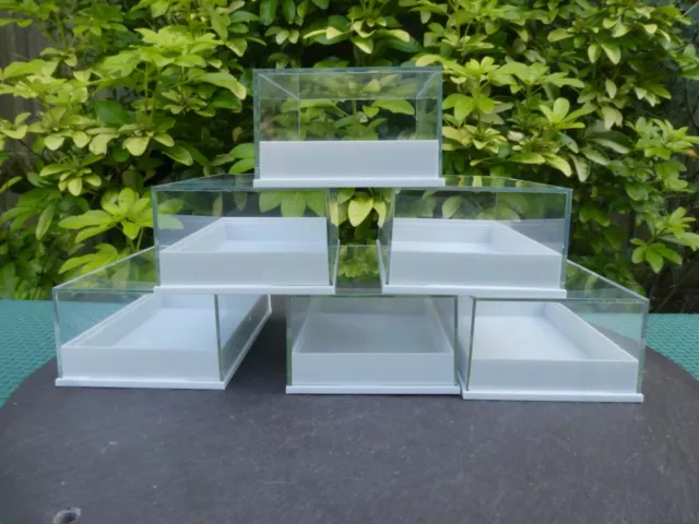 12 Perspex Clear Lid  Specimen Display Boxes Shell Minerals Gems Fossil Geology