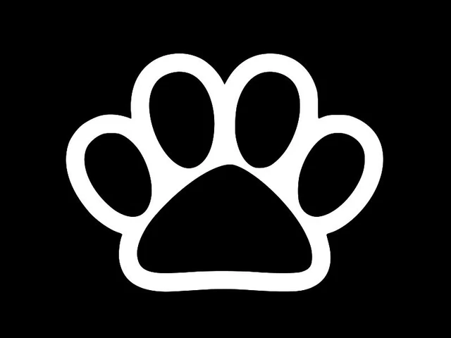 Infinity Paw Print Love Pet Decal Stickers – 3 Pack (White, 3", 4", 6") – Vinyl, No Background, For Car, Laptop, Window - View #13