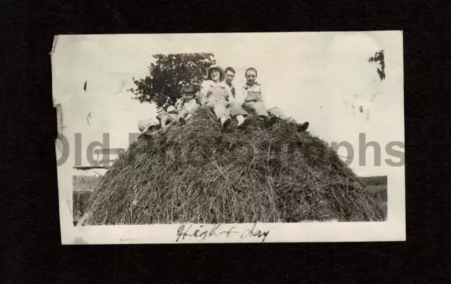 Farm Family Atop Hay Harvest Bib Overalls Old/Vintage Photo Snapshot- D793
