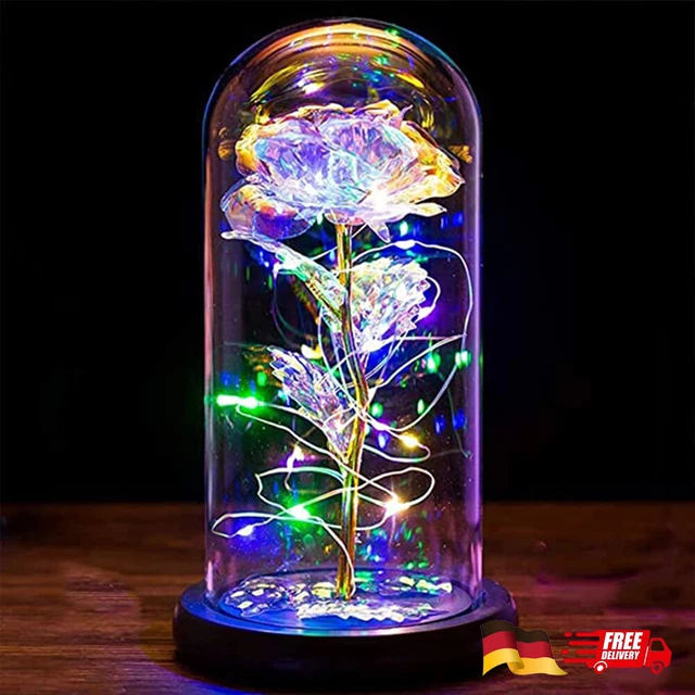 DIE SCHÖNE UND das Biest LED Ewige Rose im Glas Valentinstag