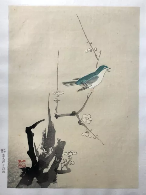 Japanese Vintage Ink Print by C Kano "Plum Blossom & Nightingale"