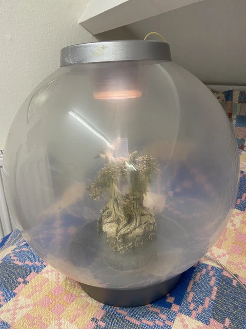 biorb fish tank 30l
