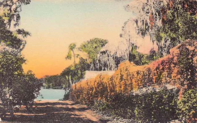 Winter Park Florida Historic Mansions Flame Vine Hand Colored Vtg Postcard B49