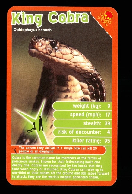 1 x info card deadliest predator King Cobra snake - R114
