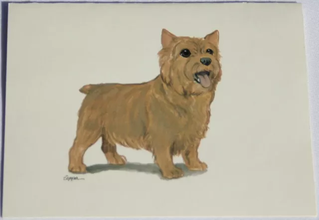 Norwich Terrier Dog Zeppa Studios Fur Children Note Cards Set of 8