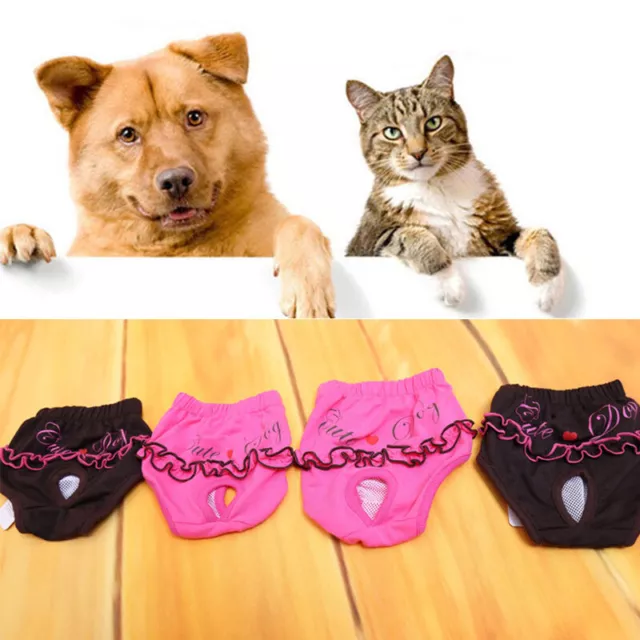 Pannolini cane animale domestico pantaloni fisici cucciolo pantaloncini mutandine biancheria intima bella # E