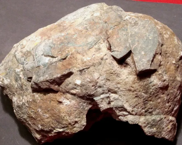 Mineralien Sammlung Druse Quarz, Deutschland, Geode 18 * 14 * 8 cm, 2371 Gramm 2